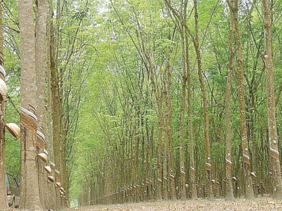 Học cách đối mặt với cáo buộc